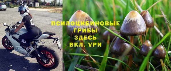 первитин Новозыбков