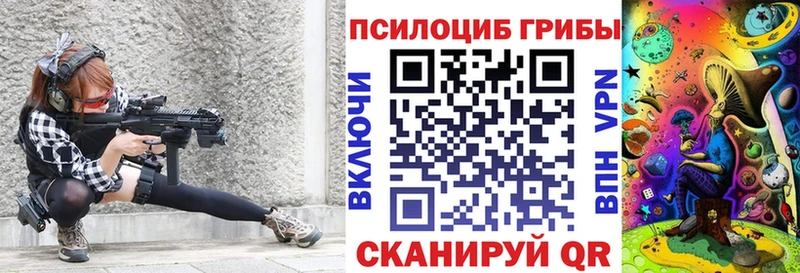 наркотики  Покров  Псилоцибиновые грибы Psilocybe 